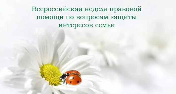 f82808337305f2311afd8fcad799c4b6