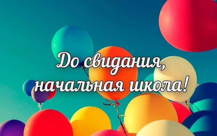 c7bfe7bab84c1b8ea3fc0ea0b87fbe2e