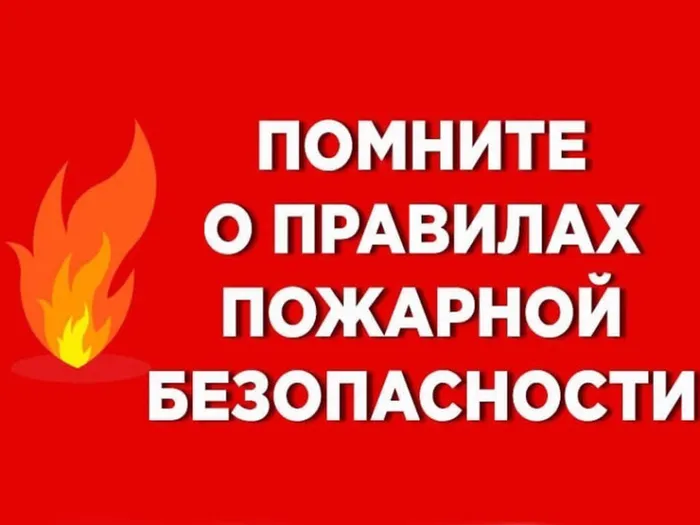 8ef1b78ef551488a260b0753c523292c (3)